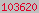 hits counter