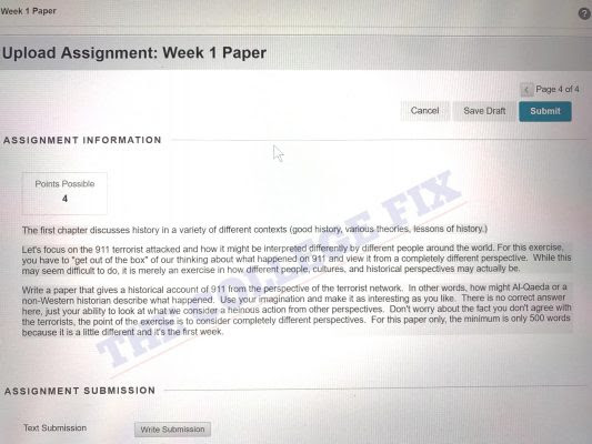 9 11 essay