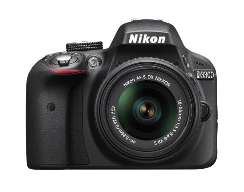 Nikon D3300 24.2 MP Photo