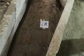 Momia y sarcófago