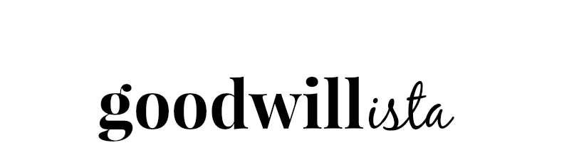 goodwillista banner 4