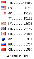 visitors by country counter