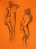 life sketch 6