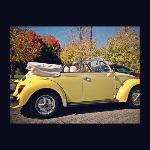 Slugg'n Away by Tom C. Frundle