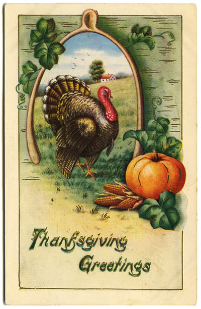 Thanksgiving postcard_turkey_tatteredandlost