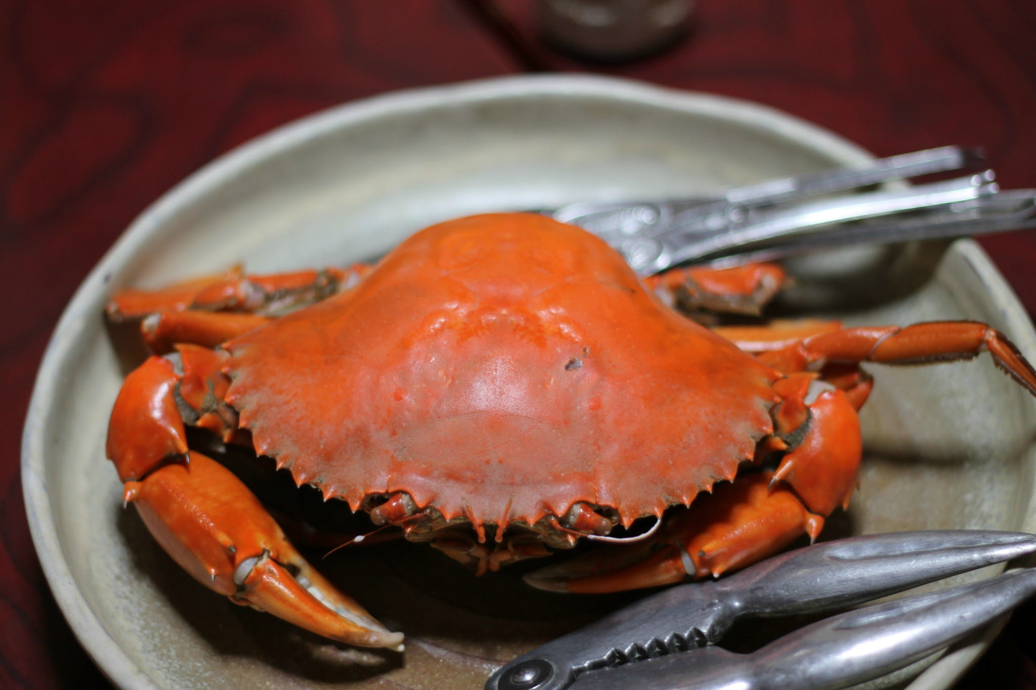 どうまん蟹 L 浜名湖 刺身 旨い酒 湖西市鷲津 康喜 やすき