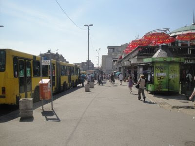 DSC00763.jpg