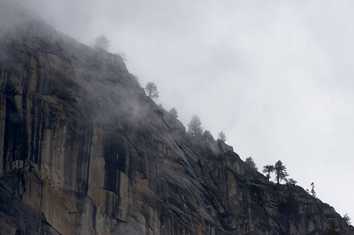Ridgeline With Trees, Yosemite