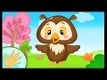 Plus de 70 bébé hibou qui dort 110921