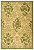St. Barts Indoor Outdoor Polypropylene 6' 7 x 9' 6 Rug