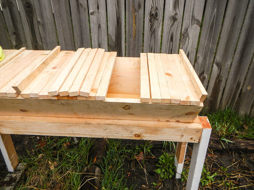 Hiving Honey Bees in Top Bar Hive