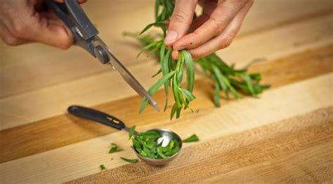 In this vegan version, soft tofu is used to create a thick, creamy, sweet and tangy dressing that pairs perfectly with broccoli, almonds, red onion and raisins. Butter Lettuce Salad with Pine Nuts and Herbs Recipe from