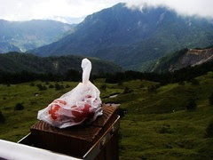 不能免俗，茶葉蛋
