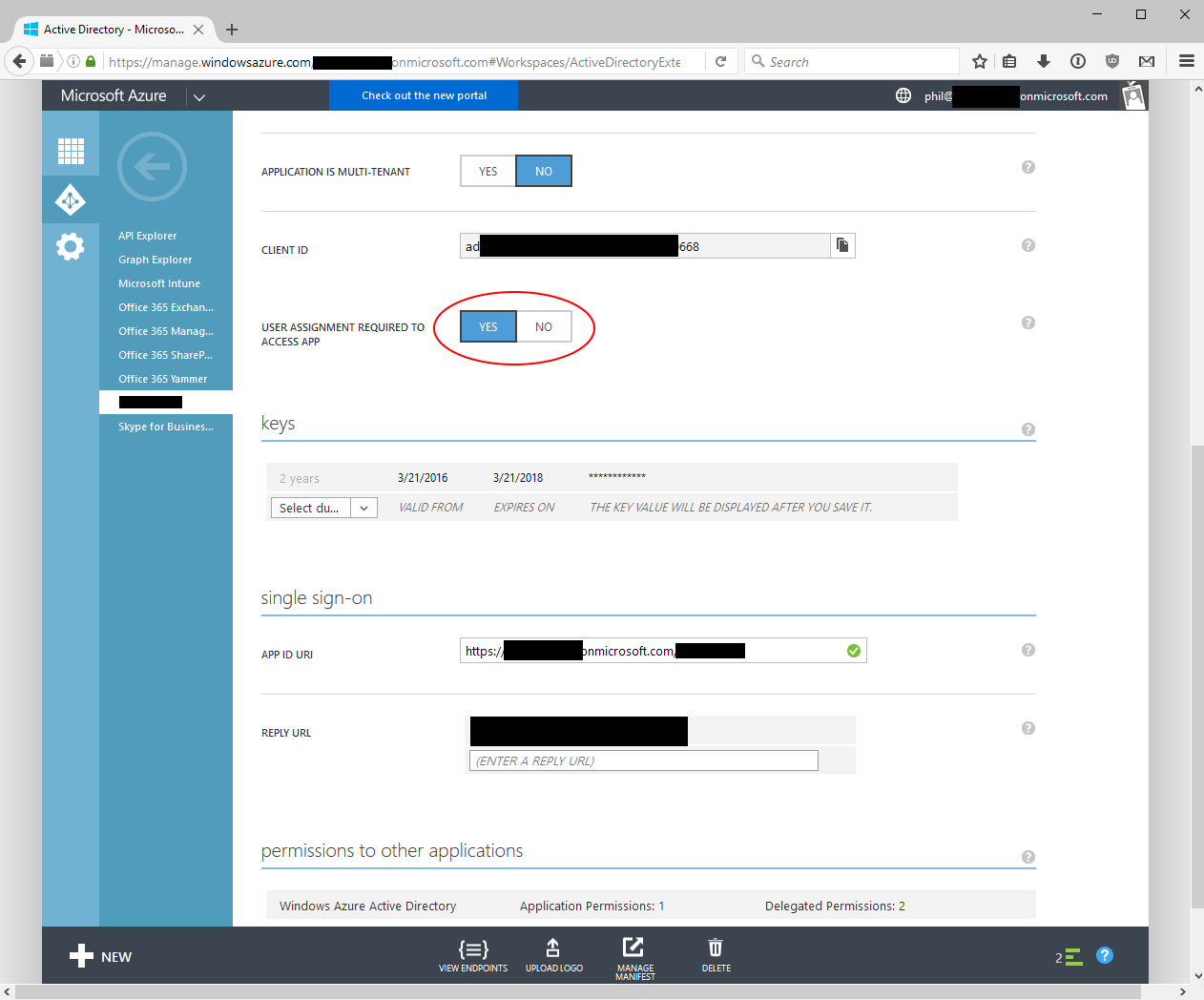 Azure AD Application config screen