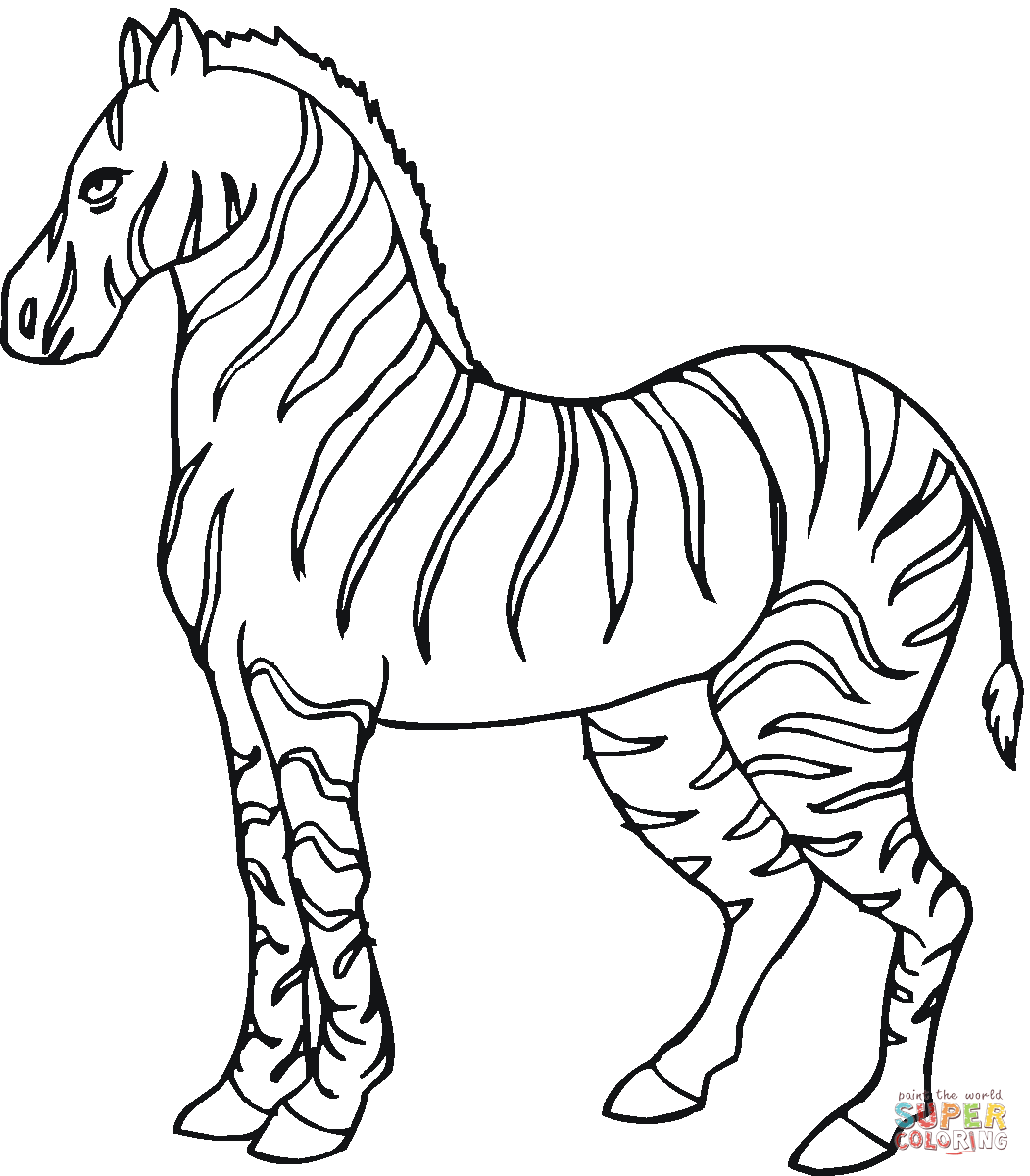Download Zebra coloring pages to download and print for free
