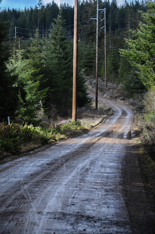 Timber Logjam-34.jpg