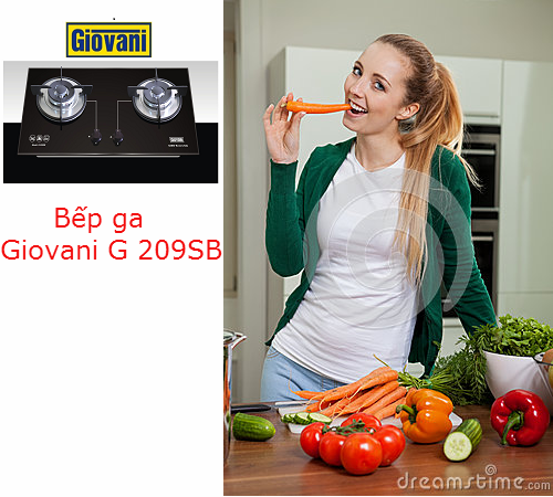 Nấu ăn dễ dàng hơn với bếp ga Giovani G 209SB 