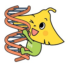 鶴見キャンパスヨッチー 生命医科学研究科