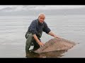The Mystery of Loch Ness Nessie