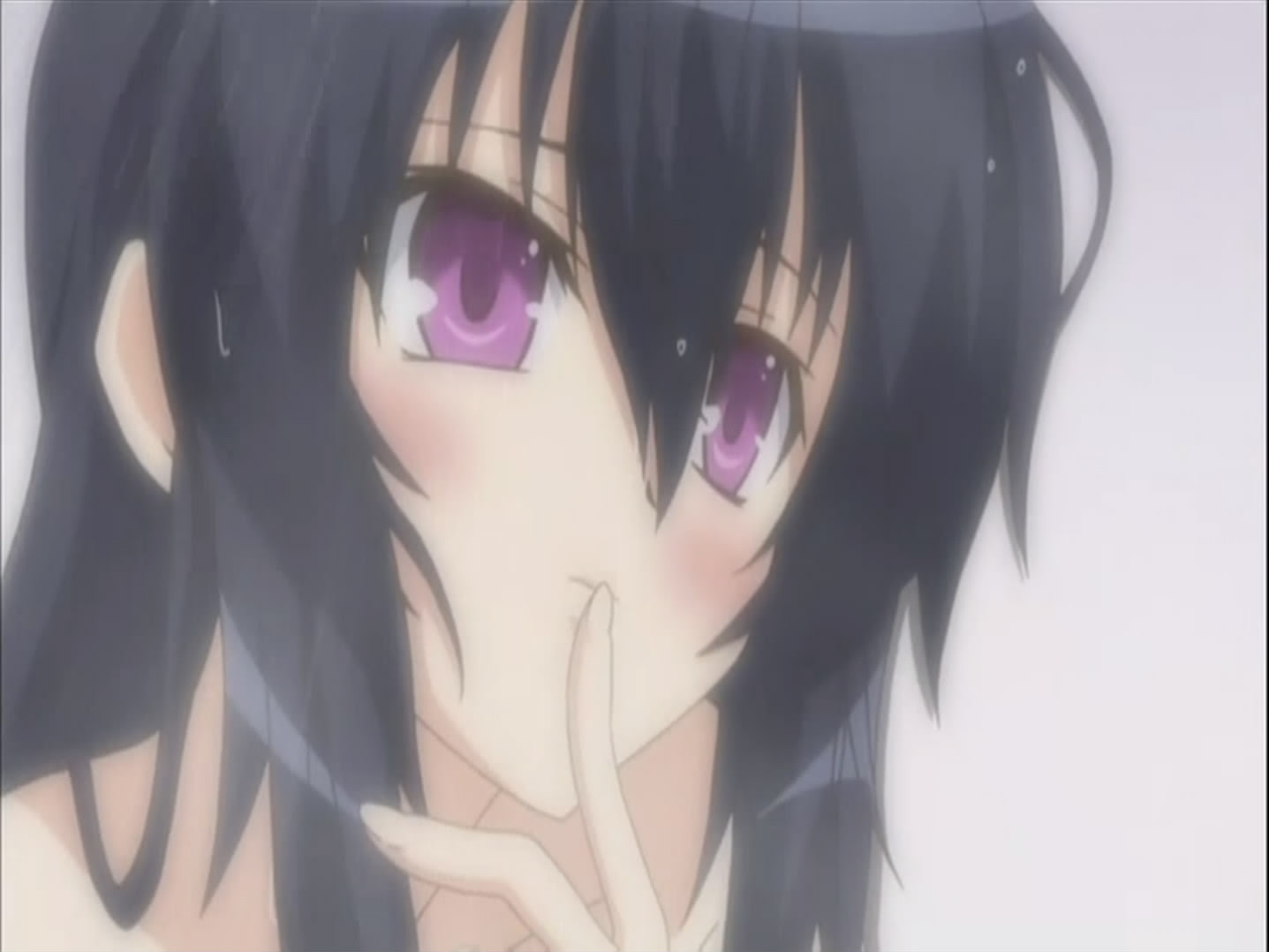 守护猫娘绯鞠 Omamori Himari 动漫图片 图片下载 动漫壁纸 Verycd电驴大全