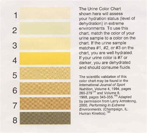  urine color chart