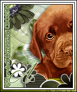  photo MarylineCaz_Spring_Avi-a_zps9fb44948.png