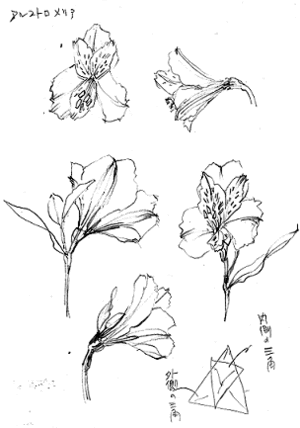 塗り絵で癒し 風景画 花の絵 11年10月