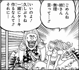 ワンピース 男の人魚とシフォンの仁義 ヤマカム