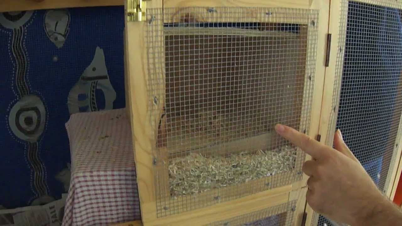 How to setup the perfect nesting box for cockatiels YouTube