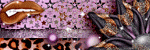  photo BLT_RED_Blinkie1_zps638e8b7c.gif