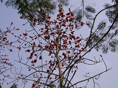 PICT0221