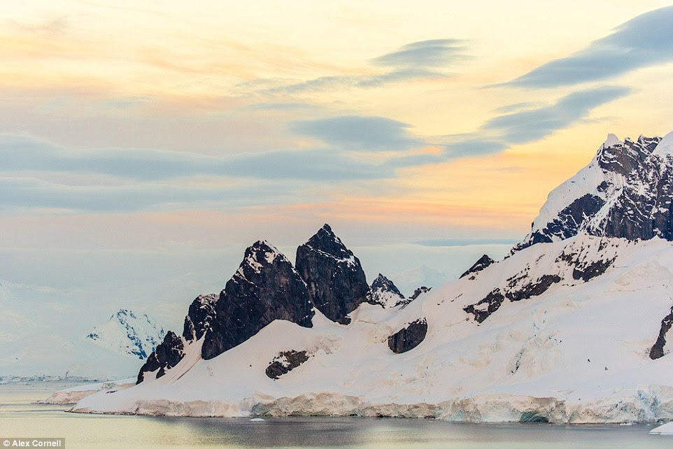 This beautiful images was taken from Cierva Cove. The back of Cierva Cove is a glacial face, which regularly calves ice into the bay