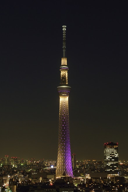水族館も夜景も全部叶う 東京スカイツリータウン デートはいかが 東京スカイツリータウン にある すみだ水族館 公式