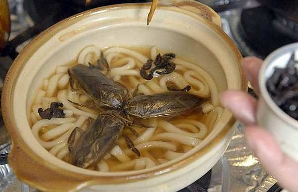 cuisine Japon
