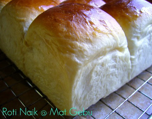 Roti Naik