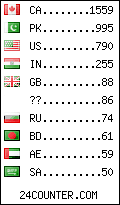 visitors by country counter