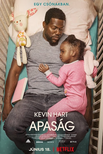 Kép
