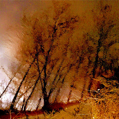 Meditation On… To Follow The Light… !!! :)))