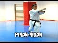 Pinan Nidan