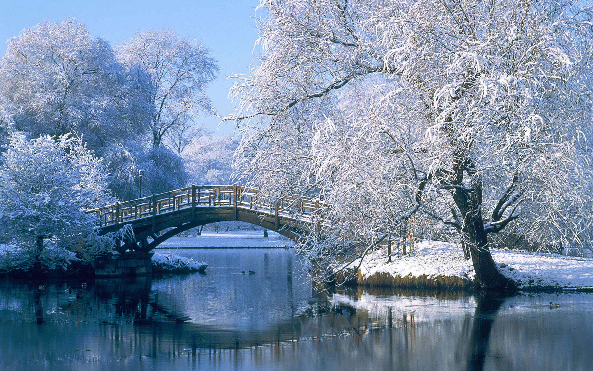 Tags: 2010, desktop wallpapers, Links, new year