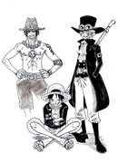 Onepiece サボ Pixiv年鑑 B