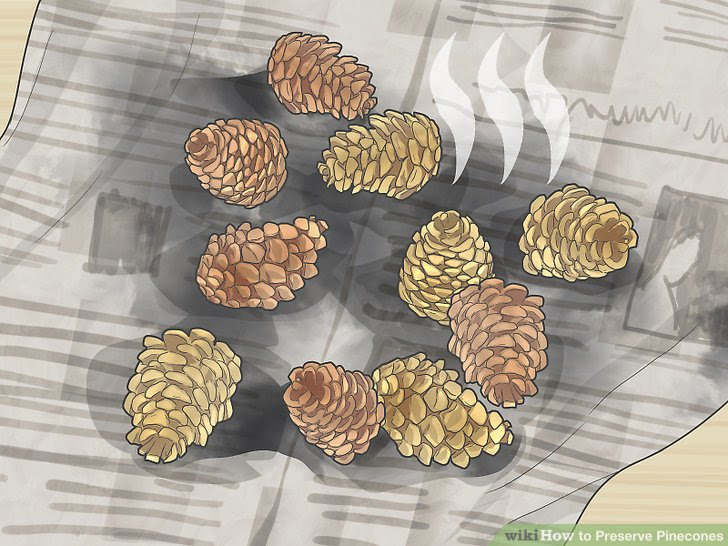 Preserve Pinecones Step 5 Version 2.jpg