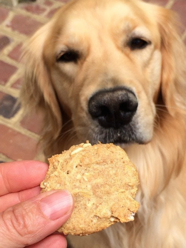 how to treat dog tumors at home