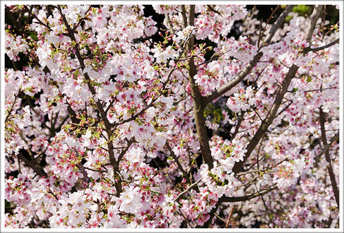 Image004