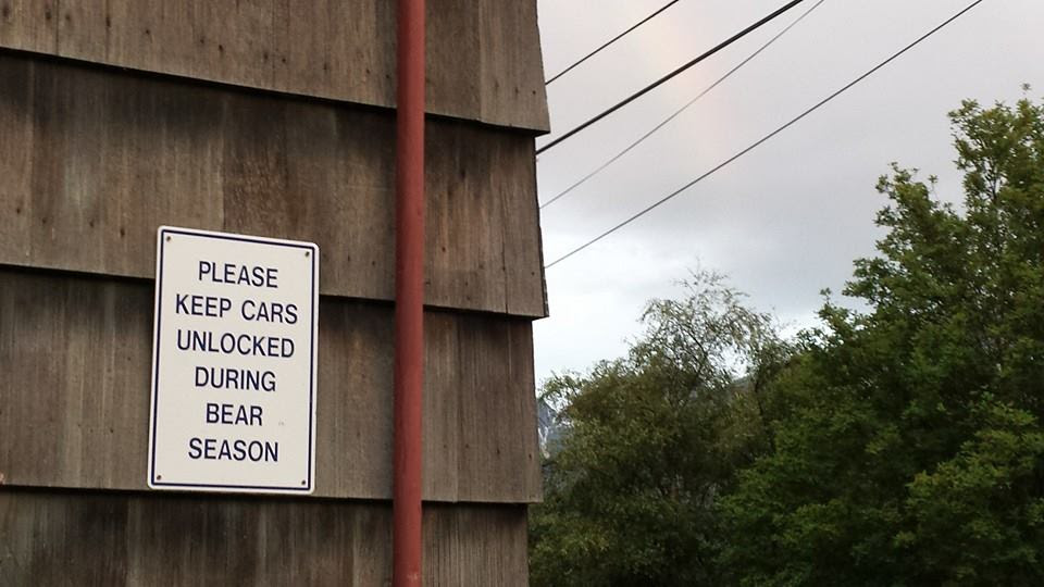 The signs you see in Alaska.