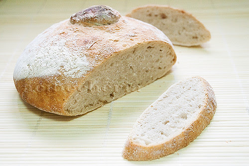 pan gallego