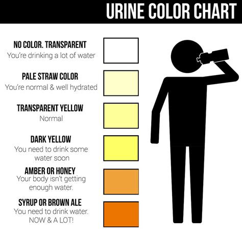  urine color chart what color is normal what does it mean are you