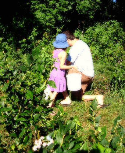 summer! berry pickin' together