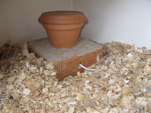 ... www.backyardchickens.com/forum/uploads/37862_clay_pot_heater_004.jpg