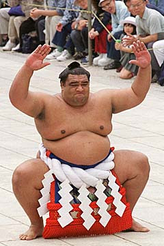 Related Keywords &amp; Suggestions for Musashimaru Sumo